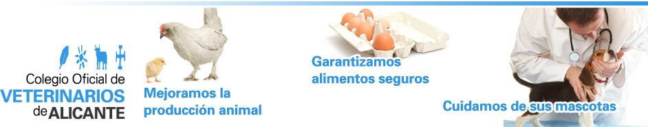 Cabecera con el logotipo del Colegio Oficial de Vetrinarios de Alicante y tres imágenes