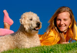 Dueña junto a su perro