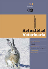 Revista