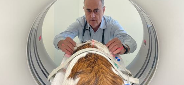 Actualizaci&oacute;n en oncolog&iacute;a veterinaria a trav&eacute;s de casos cl&iacute;nicos.