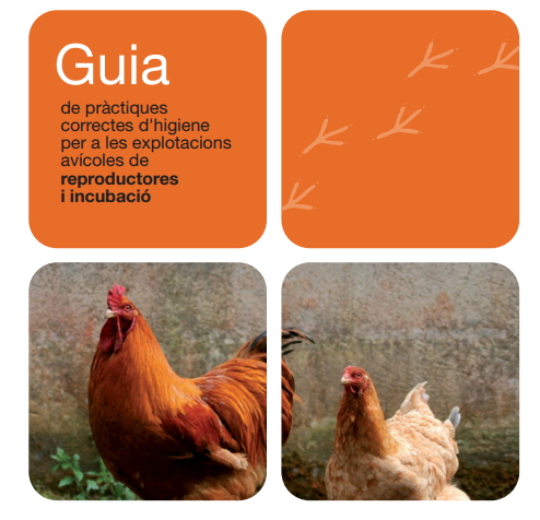 Guia de pràctiques correctes d’higiene per a les explotacions avícoles de reproductores i incubació