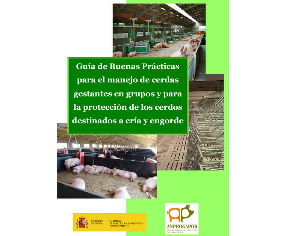 Guía de Buenas Prácticas para el manejo de cerdas gestantes en grupos y para la protección de los cerdos destinados a cría y engorde