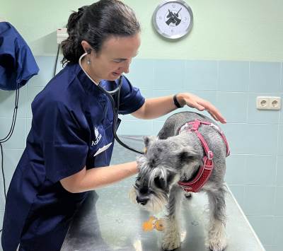 M. Dolores Tabar trabaja en Medicina Interna del Anicura San Vicente Hospital Veterinario