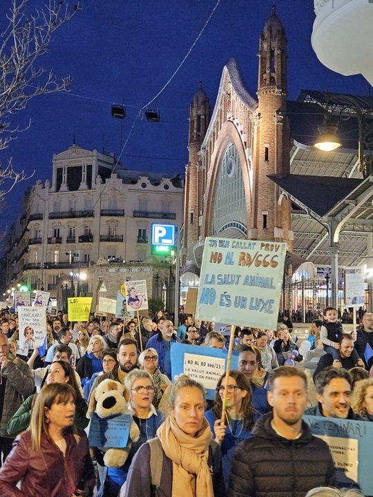 Imagen de la manifestación de Valencia del 21 de febrero