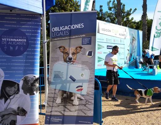 Icoval vuelve a colaborar con Can we run y aprovecha para insistir en la necesaria rebaja del IVA veterinario