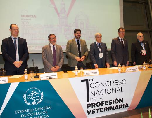 El I Congreso Nacional debate sobre el presente y futuro de la profesión