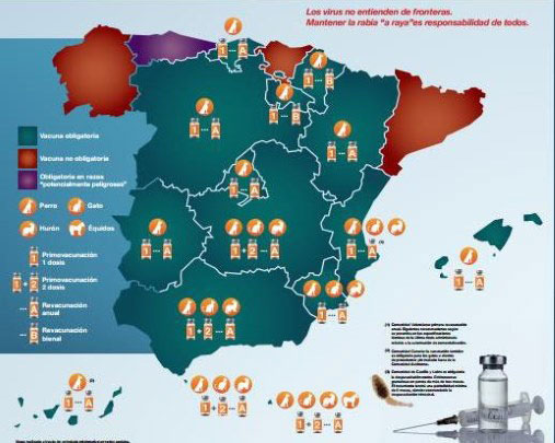 Un nuevo informe insiste en la necesidad de imponer una vacuna anual contra la rabia