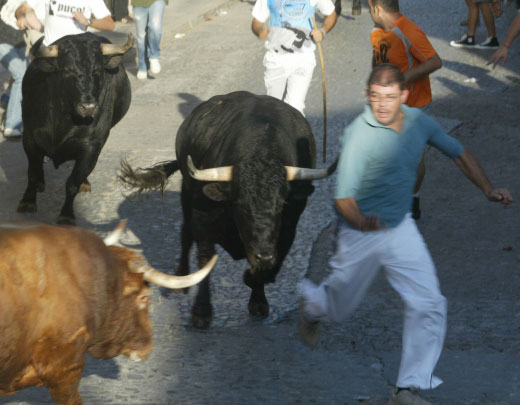 Mantienen la figura del veterinario en los bous pese a las alegaciones presentadas en su contra