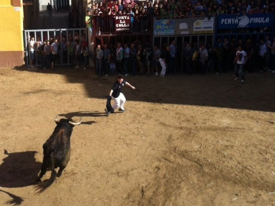 La Generalitat aplaza la presencia del veterinario en los bous a 2019 tras reunirse con la Federación de Peñas