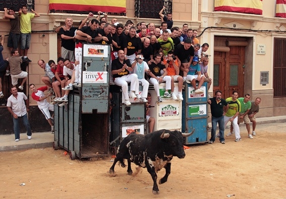 El CVCV advierte que el nuevo decreto de bous al carrer no garantiza el bienestar animal en todos los festejos 