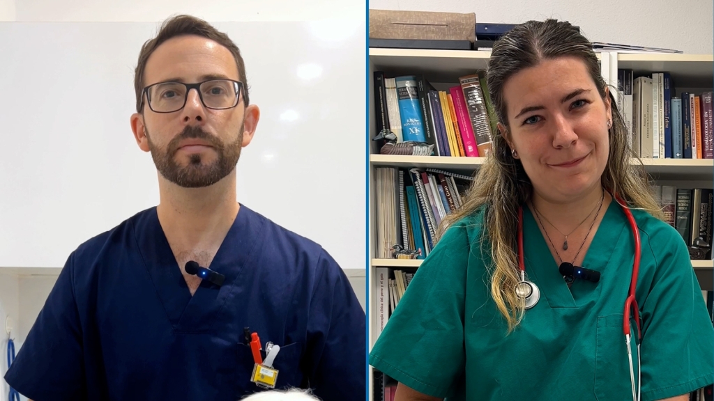 El Colegio de Veterinarios de Alicante lanza una campaña por el Día Mundial contra la Rabia
