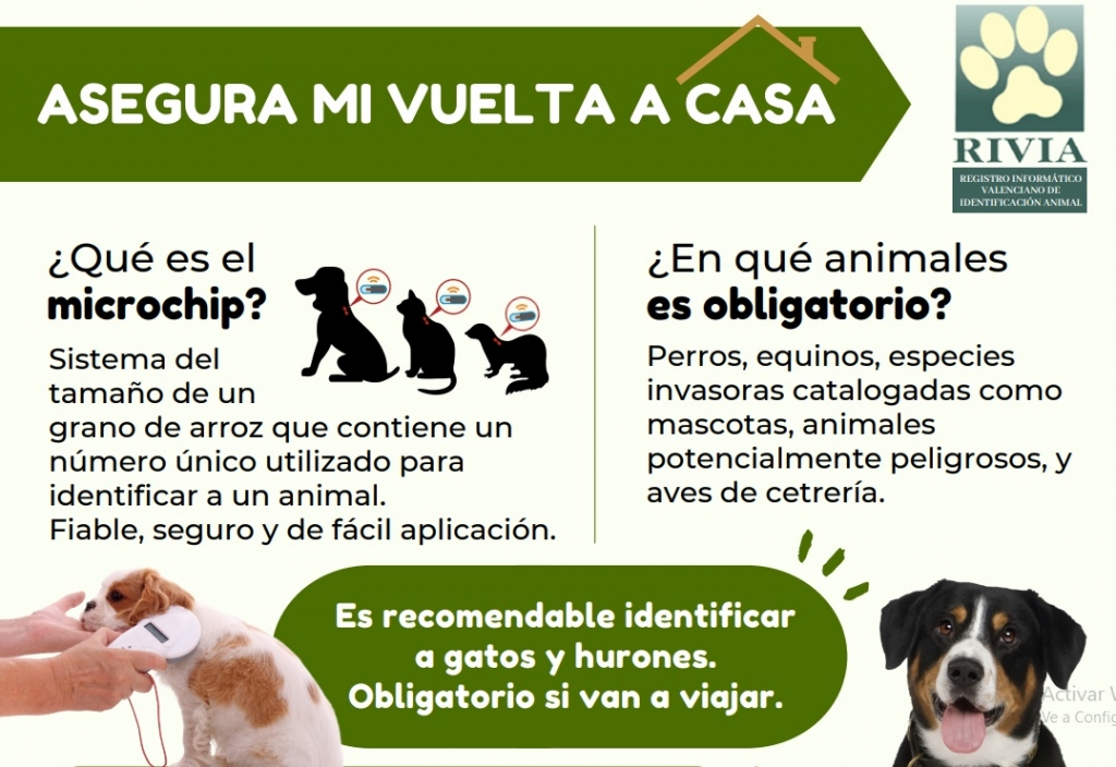 ‘Asegura mi vuelta a casa’, la campaña del CVCV y de Icoval para sensibilizar sobre la identificación