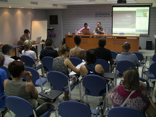 El centro de salud mental de Sant Boi convierte perros y gatos en herramienta terapéutica