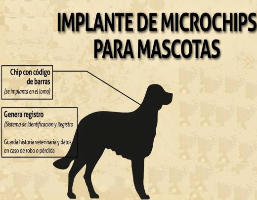 De cuestionar el ADN contra las cacas en la calle a defender los chips de identificación