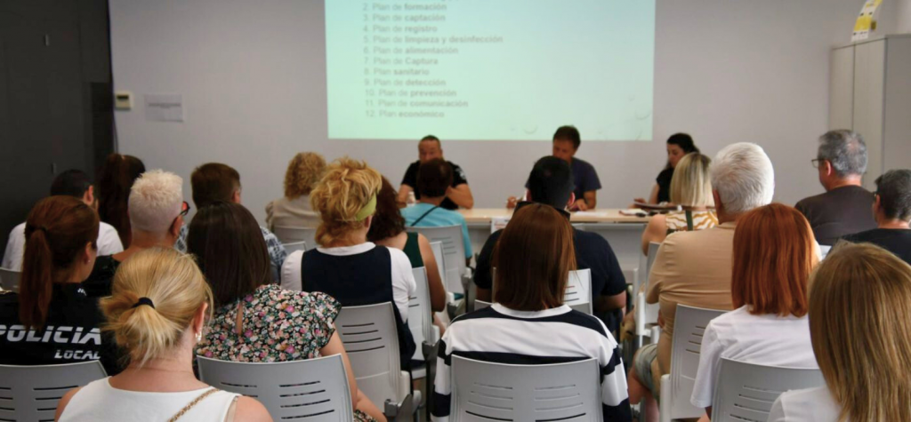 Formación esencial sobre la gestión de colonias felinas en Pinoso: curso dirigido a la población local