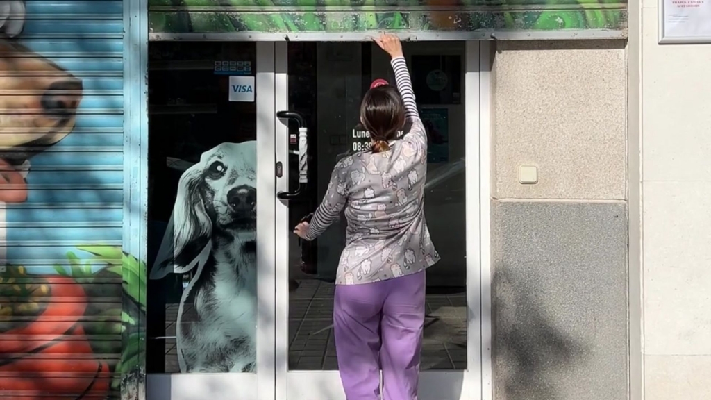 “Por ellos”: el Colegio de Veterinarios de Alicante lanza un vídeo para visibilizar la salud animal y las reivindicaciones de la profesión veterinaria