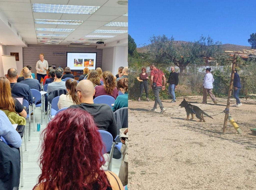 Éxito de la 2. ª edición para capacitar a veterinarios en Etología para la evaluación de Perros PPP