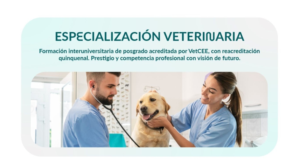El Certificado OCV en Équidos, con 46 créditos ECTS, marcará el inicio de un sistema nacional de especialización profesional veterinaria