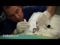 Icoval y la Diputación editan un vídeo para visualizar la buena praxis en esterilizaciones