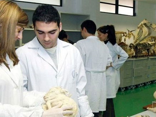 La Comunitat es ya la autonomía con más facultades y plazas para estudiar Veterinaria