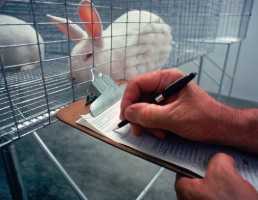 El CGCVE trata de evitar la intromisión en experimentación animal