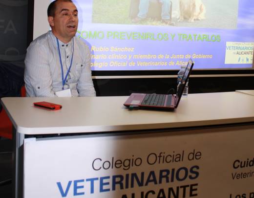 Los colegios profesionales sanitarios salen a la calle para promocionar la salud y hábitos de vida saludables