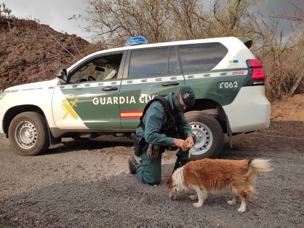 El CVCV presenta un protocolo de rescate de animales en caso de emergencias