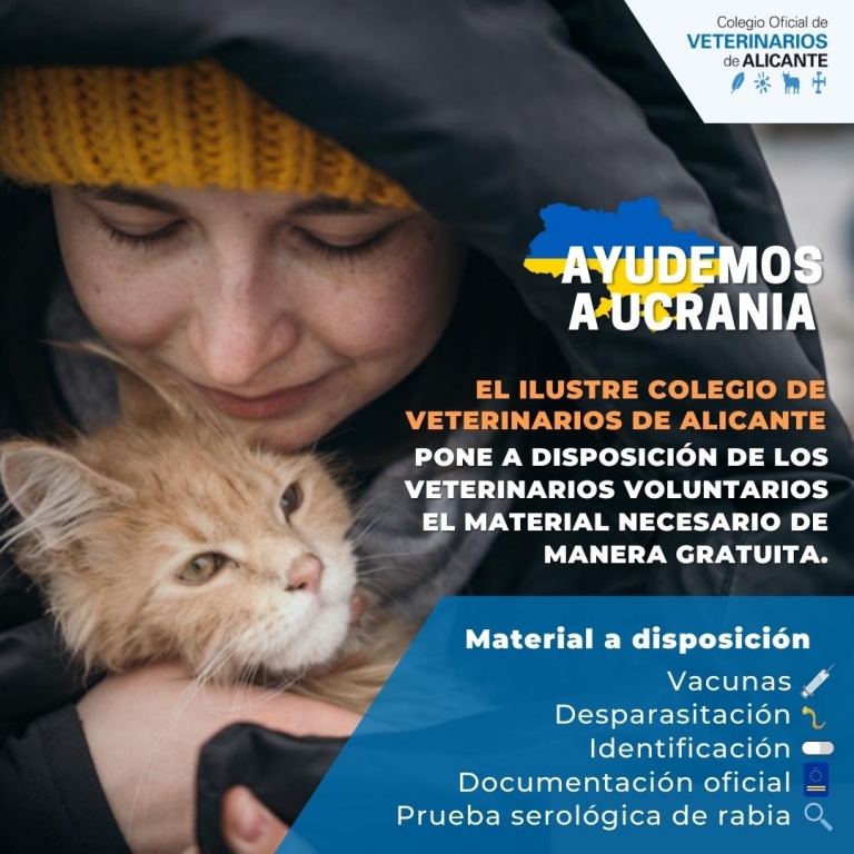 Instrucciones para facilitar el retorno de refugiados ucranianos junto a sus perros