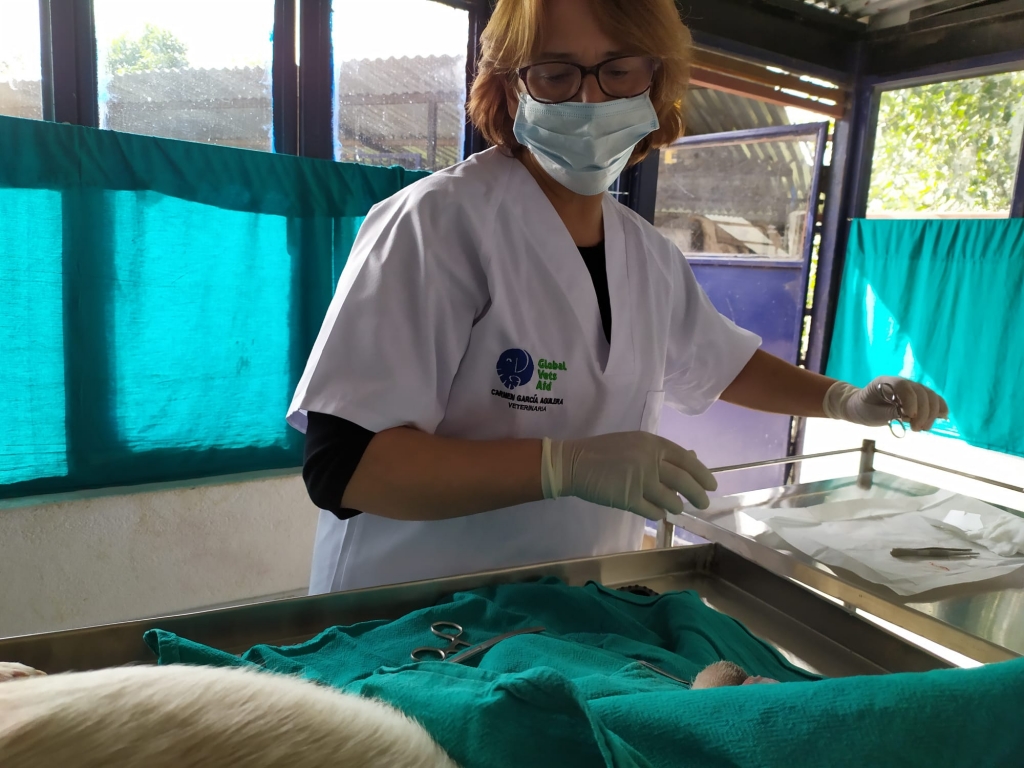 “La veterinaria es vocacional, cuando ves sufrimiento no miramos hacia otro lado”