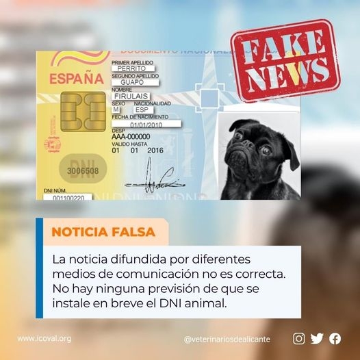 Historia de un fake: El nuevo DNI animal no está en vigor, aunque así se haya informado