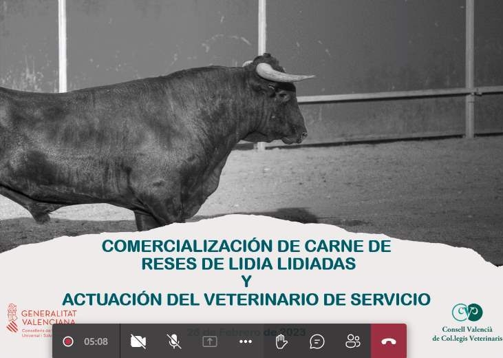 La DG de Salud Pública concreta las actuaciones del veterinario para comercializar reses de lidia lidiadas