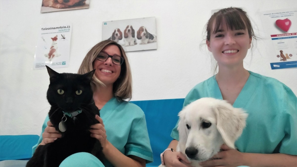 Las propias veterinarias de Viopet se suman a las críticas por los descuentos