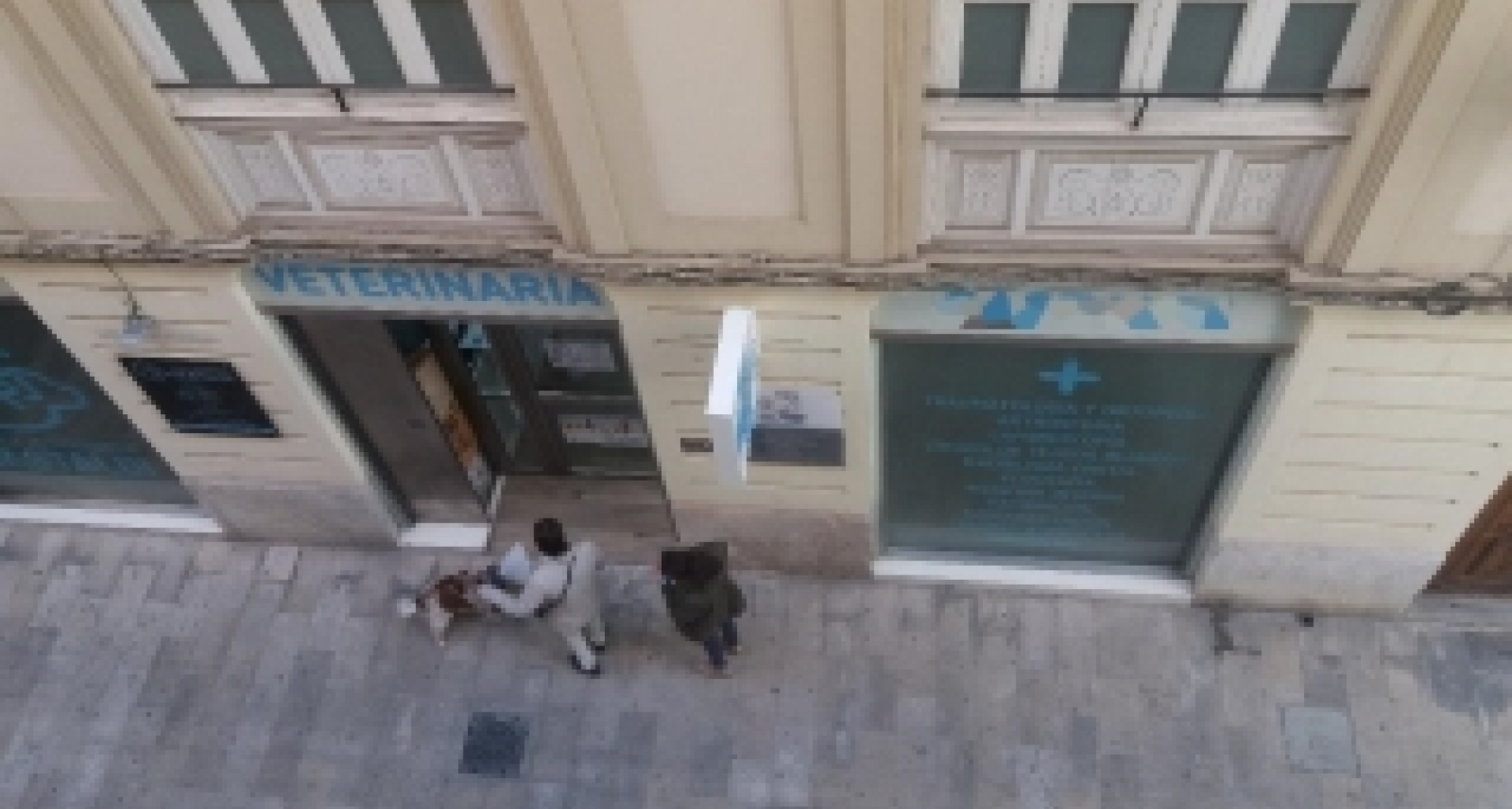 Los centros veterinarios son servicios ’esenciales’ y no les afecta el permiso retribuido recuperable