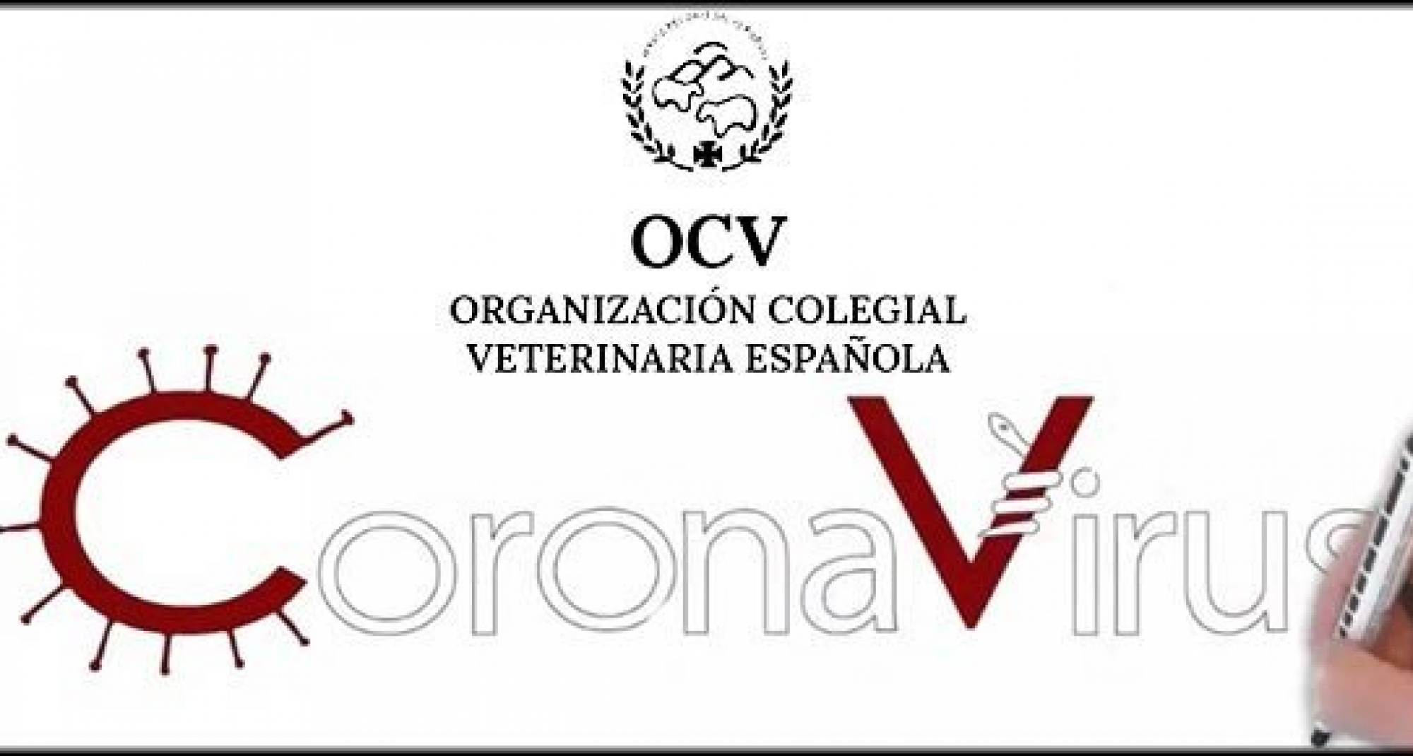 La OCV actualiza la información sobre el Covid-19 y las mascotas