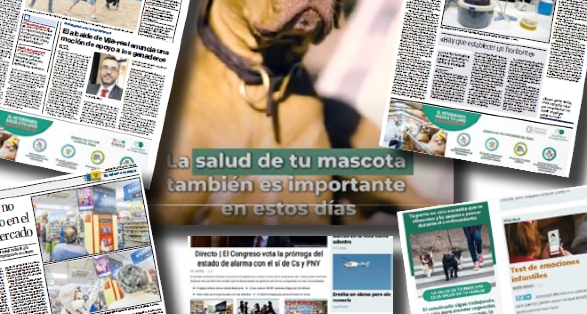 El CVCV e Icoval lanzan una campaña publicitaria en prensa para poner en valor al veterinario durante esta crisis 
