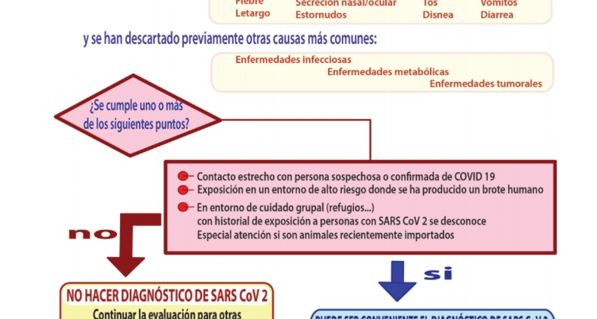 La OCV restringe las pruebas de Covid-19 en mascotas sólo a casos muy justificados