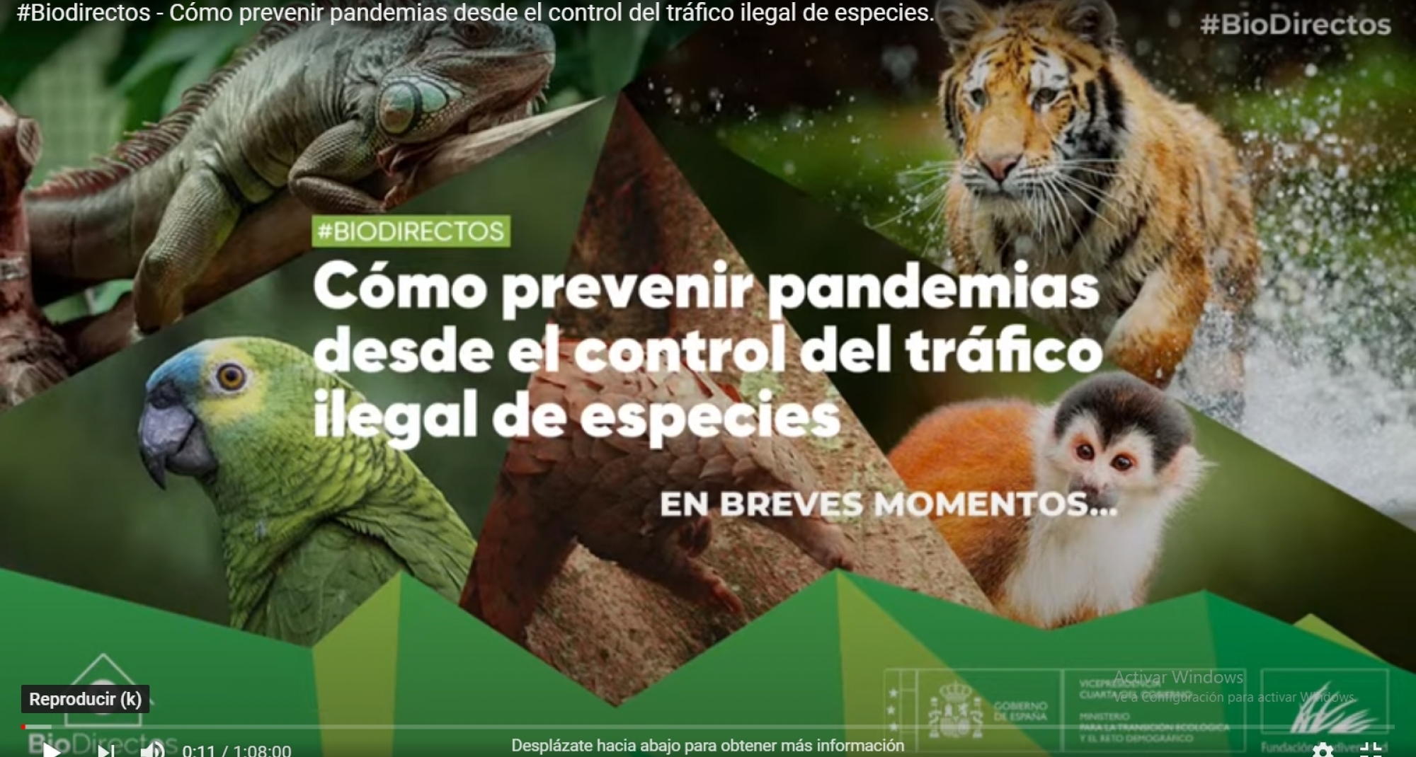 El Gobierno limitará las mascotas permitidas a las especies domesticadas