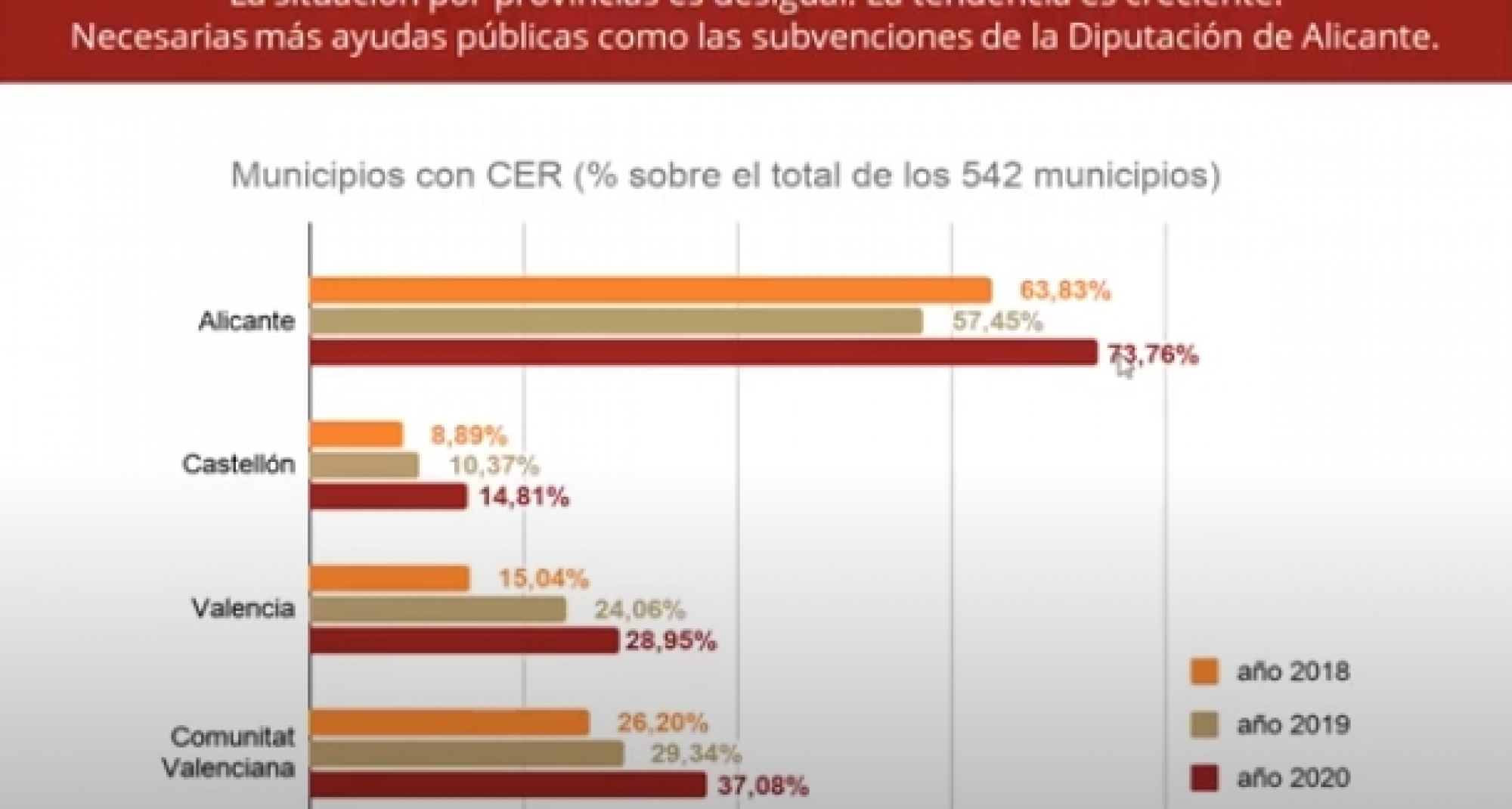 Alicante sobresale en todos los parámetros  en materia de protección animal felina