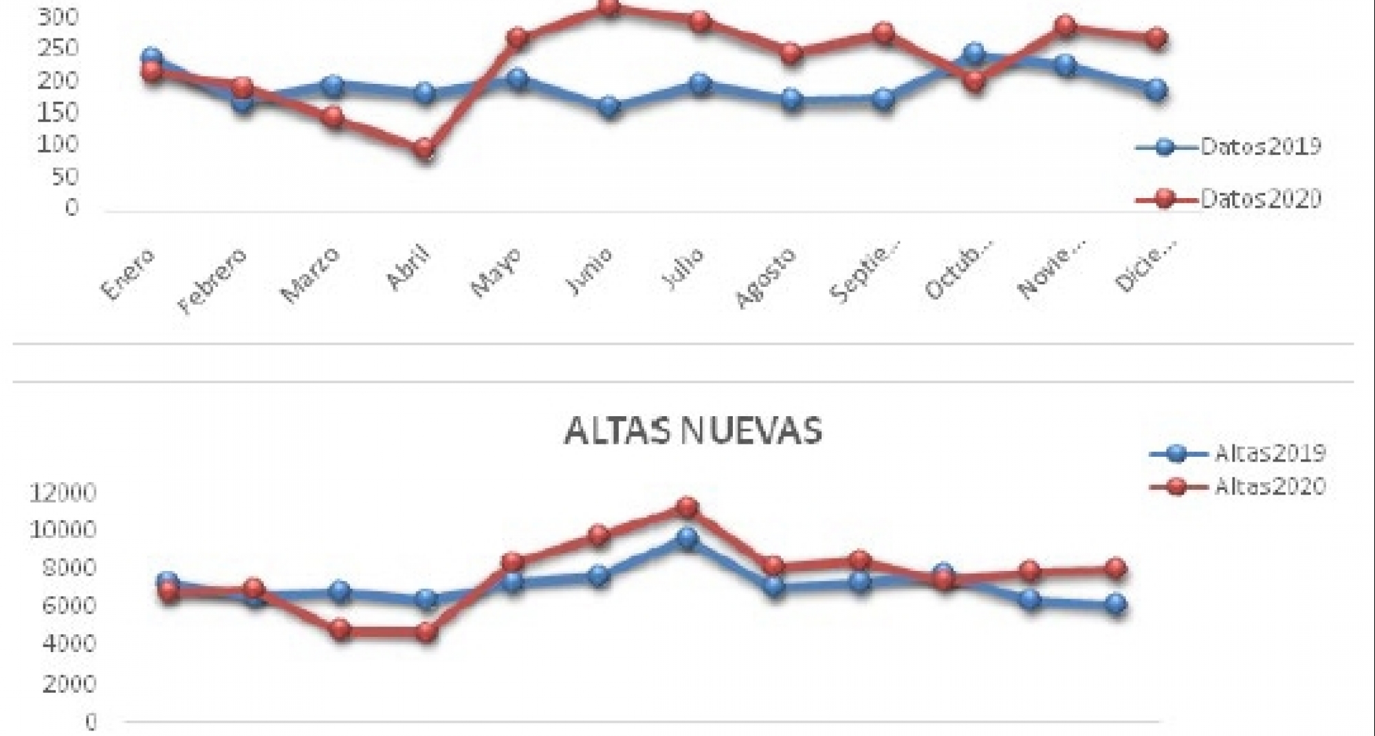 El confinamiento por la Covid hizo disparar las adopciones de perros un 38% y las compras un 17%