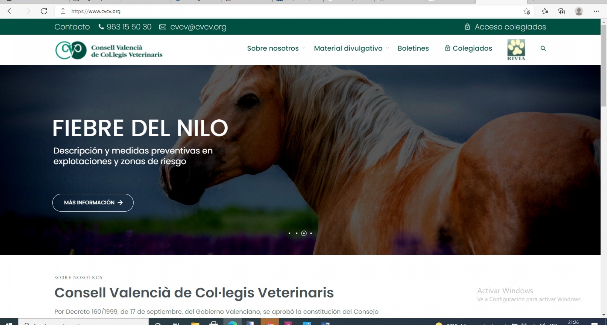 La nueva web  del CVCV ya  está operativa