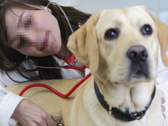 La carrera de Veterinaria en 