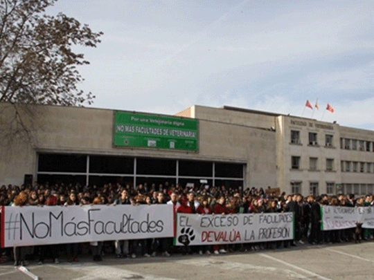 Precariedad laboral, saturación clínica y sobreoferta universitaria: todo va unido