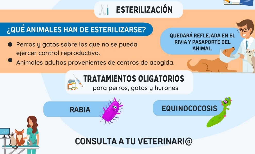 El CVCV divulga la nueva Ley 2/2023 y prepara la formación para los municipios