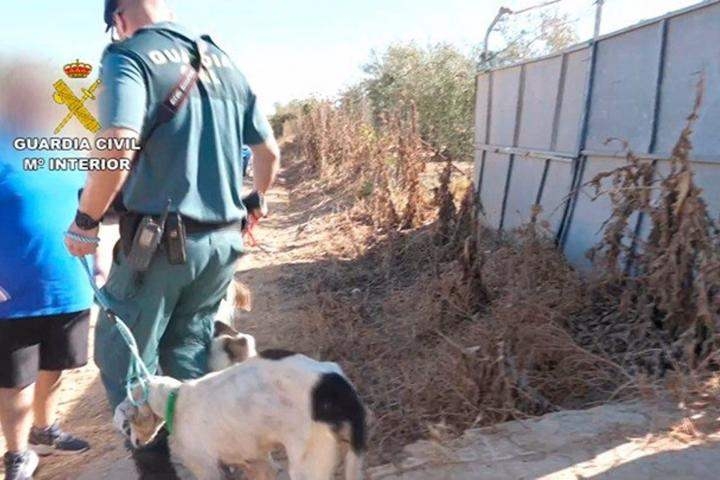 Icoval y Seprona colaboran en un curso sobre periciales para casos de maltrato