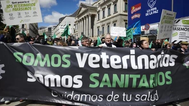 Alrededor de 3.000 veterinarios reclaman en Madrid ser tratados como sanitarios 'de verdad'