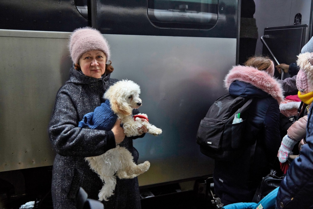 Los veterinarios se vuelcan en el control de los animales traídos por los ucranianos