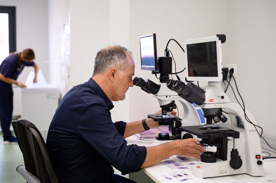 Francisco “Pachi” Clemente: ciencia, sensibilidad y oncología veterinaria en la lucha contra el cáncer animal