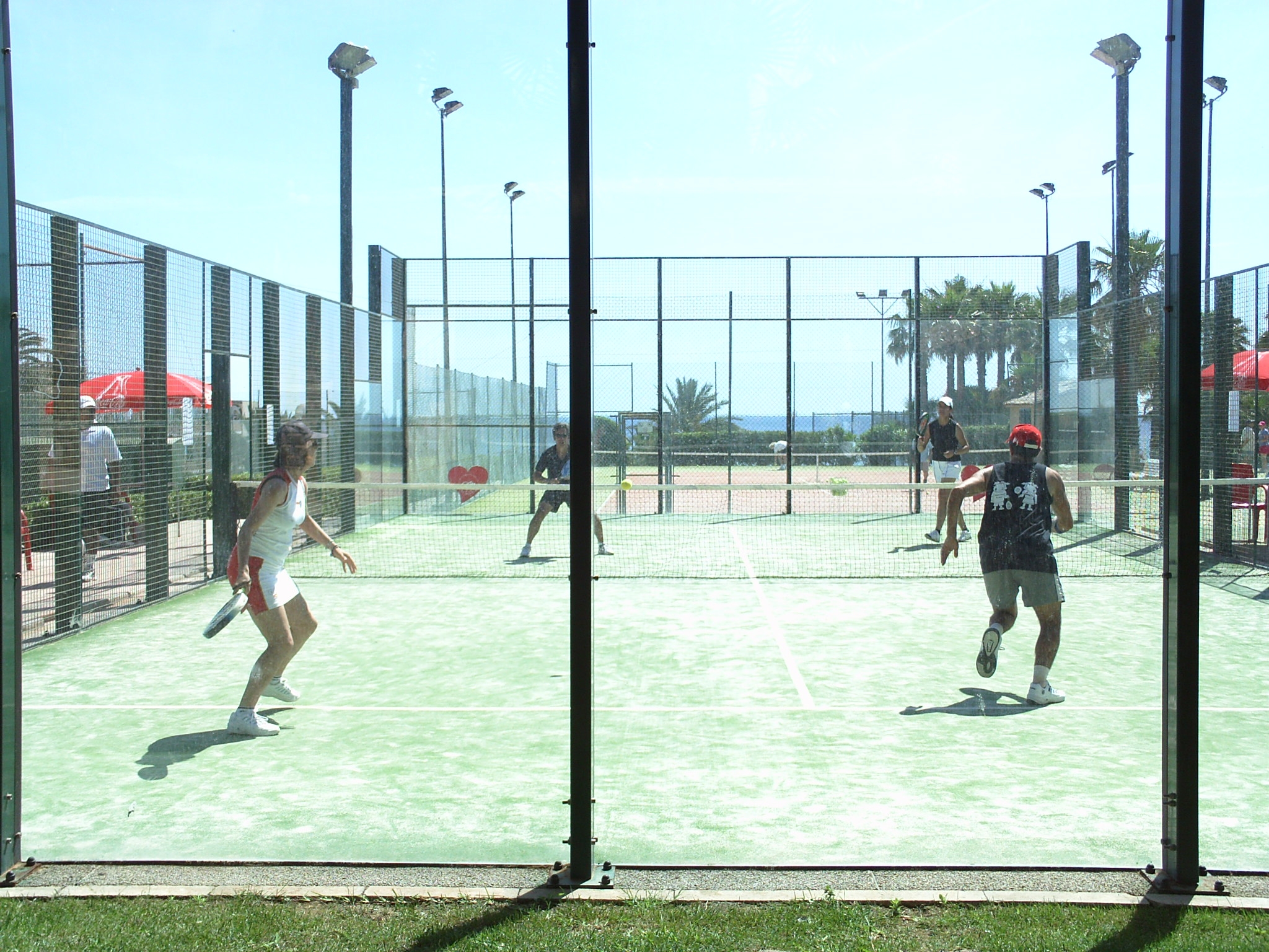 II Torneo de Pádel Mixto del Colegio de Veterinario de Alicante