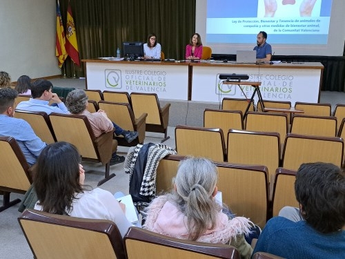 El CVCV asiste a los colegiados en la interpretación de la nueva ley valenciana de animales de compañía