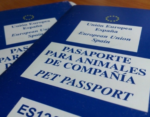 Consejos para cumplimentar el pasaporte
